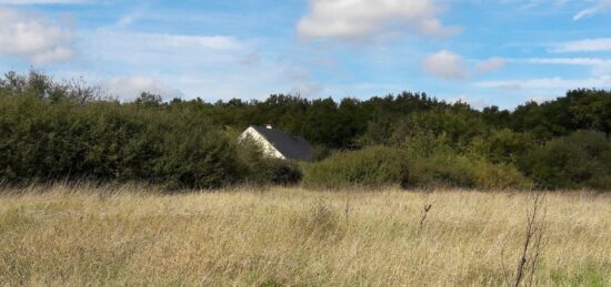 Terrain à bâtir à Saint-Laurent-en-Gâtines, Centre-Val de Loire