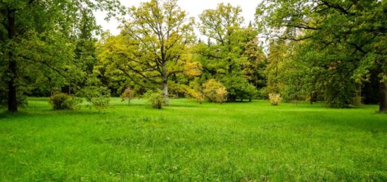 Terrain à bâtir à Beynes, Île-de-France