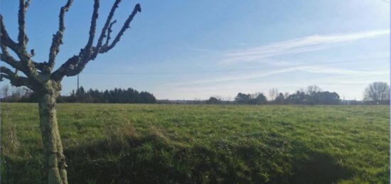 Terrain à bâtir à Lados, Nouvelle-Aquitaine