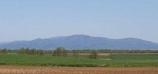 Terrain à bâtir à Galfingue, Grand Est