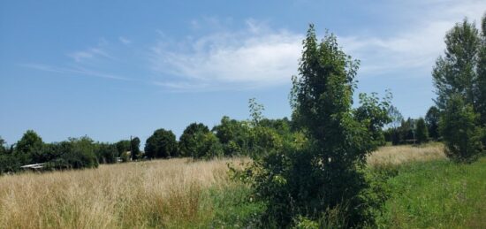 Terrain à bâtir à Belin-Béliet, Nouvelle-Aquitaine