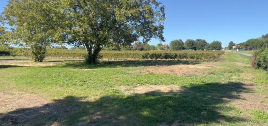 Terrain à bâtir à Sallebœuf, Nouvelle-Aquitaine