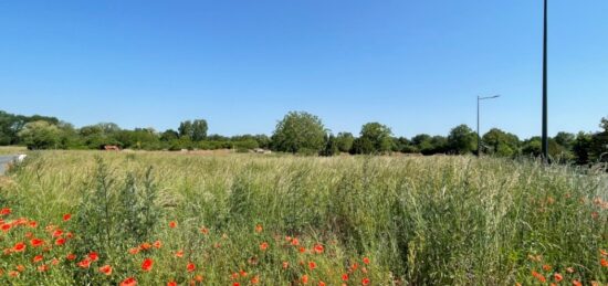 Terrain à bâtir à La Champenoise, Centre-Val de Loire