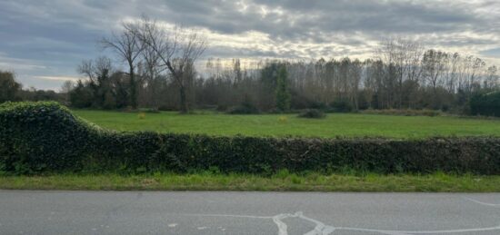 Terrain à bâtir à Anglade, Nouvelle-Aquitaine