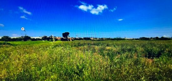 Terrain à bâtir à Marseillan, Occitanie