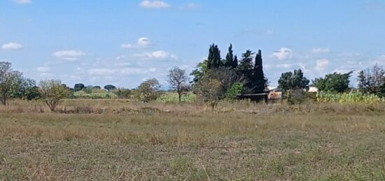 Terrain à bâtir à Marseillan, Occitanie