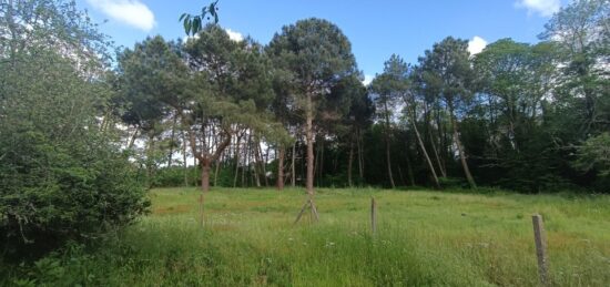 Terrain à bâtir à , Gironde