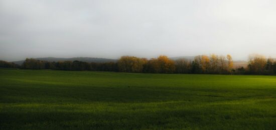 Terrain à bâtir à Altkirch, Grand Est