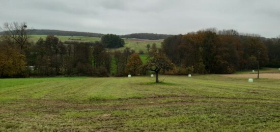 Terrain à bâtir à Zinswiller, Grand Est