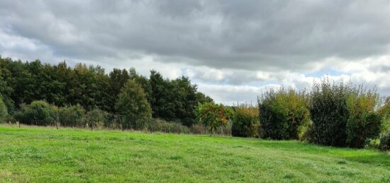 Terrain à bâtir à Chemillé, Pays de la Loire