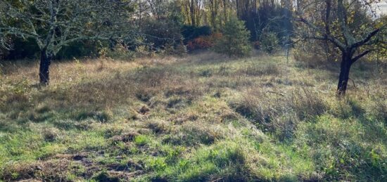 Terrain à bâtir à Libourne, Nouvelle-Aquitaine