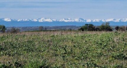 Montgeard Terrain à bâtir - 2015049-10568annonce120241129wS5OO.jpeg Maisons France Confort