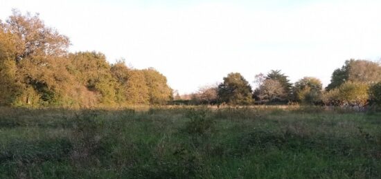 Terrain à bâtir à Saujon, Nouvelle-Aquitaine