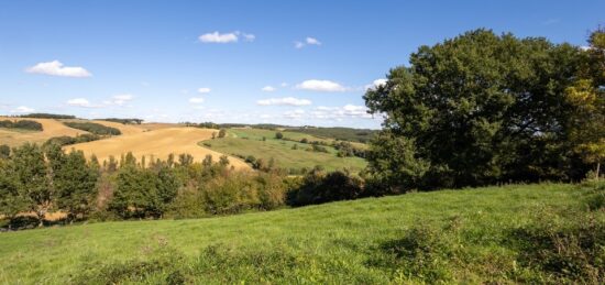 Terrain à bâtir à Le Fousseret, Occitanie