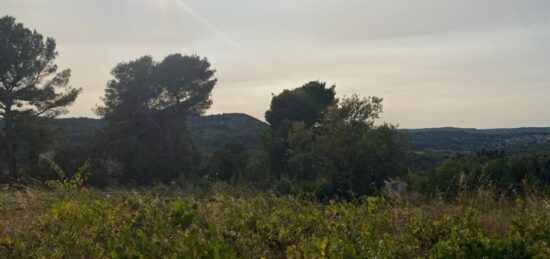 Terrain à bâtir à Le Castellet, Provence-Alpes-Côte d'Azur