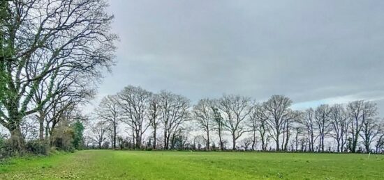 Terrain à bâtir à , Loire-Atlantique