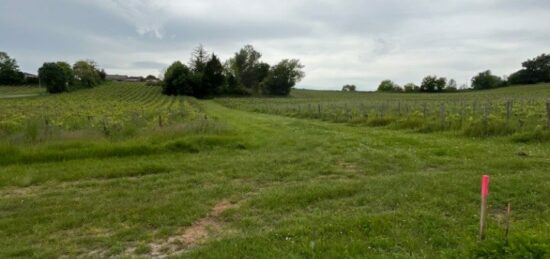 Terrain à bâtir à Cadillac-en-Fronsadais, Nouvelle-Aquitaine