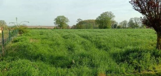 Terrain à bâtir à Longueval, Hauts-de-France