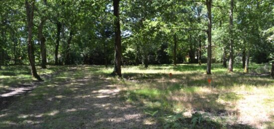 Terrain à bâtir à , Gironde