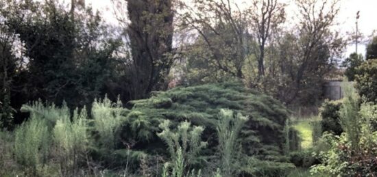 Terrain à bâtir à , Vaucluse