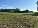 Maison à construire à Bosc-le-Hard (76850) 2018838-10998annonce120241204VitIz.jpeg Maisons France Confort