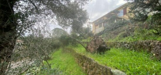 Terrain à bâtir à Puget-sur-Argens, Provence-Alpes-Côte d'Azur