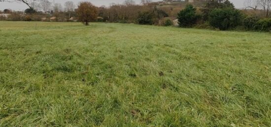 Terrain à bâtir à Roquefort, Nouvelle-Aquitaine