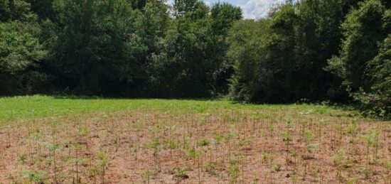 Terrain à bâtir à , Gironde