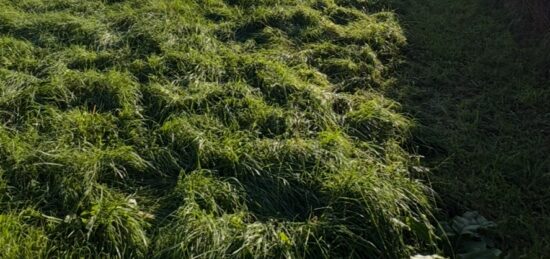 Terrain à bâtir à La Lande-de-Fronsac, Nouvelle-Aquitaine