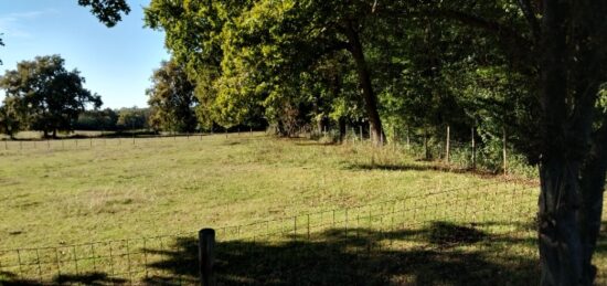 Terrain à bâtir à Villenave-d'Ornon, Nouvelle-Aquitaine