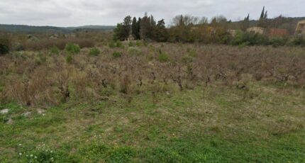 Argens-Minervois Terrain à bâtir - 1989949-692annonce120241030RrNuC.jpeg Maisons France Confort