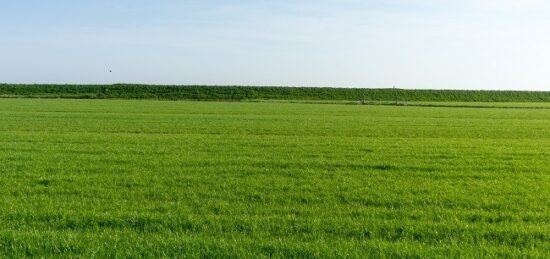 Terrain à bâtir à Beaulieu-lès-Loches, Centre-Val de Loire