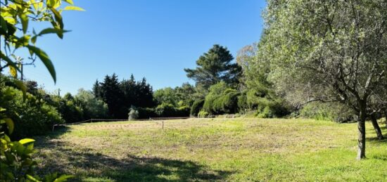 Terrain à bâtir à Mougins, Provence-Alpes-Côte d'Azur