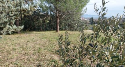 Roquebrune-sur-Argens Terrain à bâtir - 2055318-11157annonce120250117KuBNh.jpeg Maisons France Confort