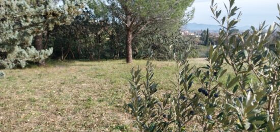 Terrain à bâtir à Roquebrune-sur-Argens, Provence-Alpes-Côte d'Azur