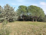 Terrain à bâtir à Roquebrune-sur-Argens (83520) 2055318-11157annonce220250117vrg8m.jpeg Maisons France Confort