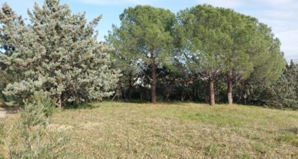 Roquebrune-sur-Argens Terrain à bâtir - 2055318-11157annonce220250117vrg8m.jpeg Maisons France Confort