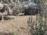 Terrain à bâtir à Roquebrune-sur-Argens (83520) 2055318-11157annonce320250117DcGxa.jpeg Maisons France Confort