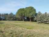 Terrain à bâtir à Roquebrune-sur-Argens (83520) 2055318-11157annonce420250117l79O6.jpeg Maisons France Confort