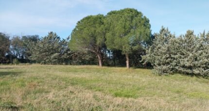 Roquebrune-sur-Argens Terrain à bâtir - 2055318-11157annonce420250117l79O6.jpeg Maisons France Confort