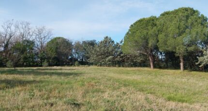 Roquebrune-sur-Argens Terrain à bâtir - 2055318-11157annonce520250117tRkro.jpeg Maisons France Confort