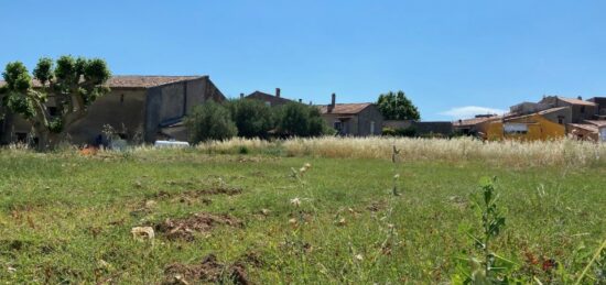 Terrain à bâtir à Carnoules, Provence-Alpes-Côte d'Azur