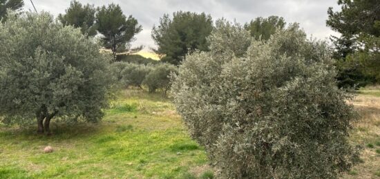 Terrain à bâtir à Saint-Chamas, Provence-Alpes-Côte d'Azur