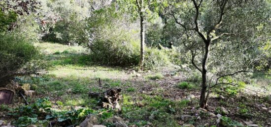 Terrain à bâtir à Rocbaron, Provence-Alpes-Côte d'Azur