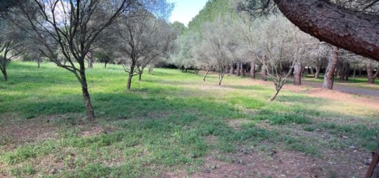 Terrain à bâtir à Lézignan-la-Cèbe, Occitanie