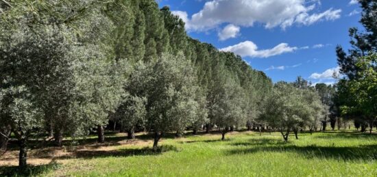 Terrain à bâtir à , Hérault