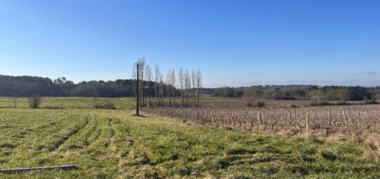 Terrain à bâtir à Cadillac, Nouvelle-Aquitaine