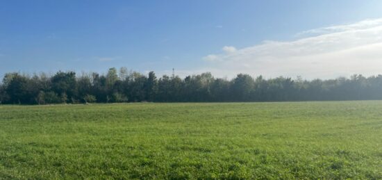 Terrain à bâtir à Nanteuil-lès-Meaux, Île-de-France