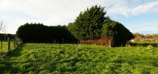 Terrain à bâtir à , Calvados