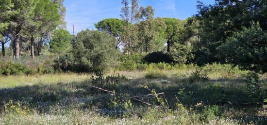 Terrain à bâtir à , Var